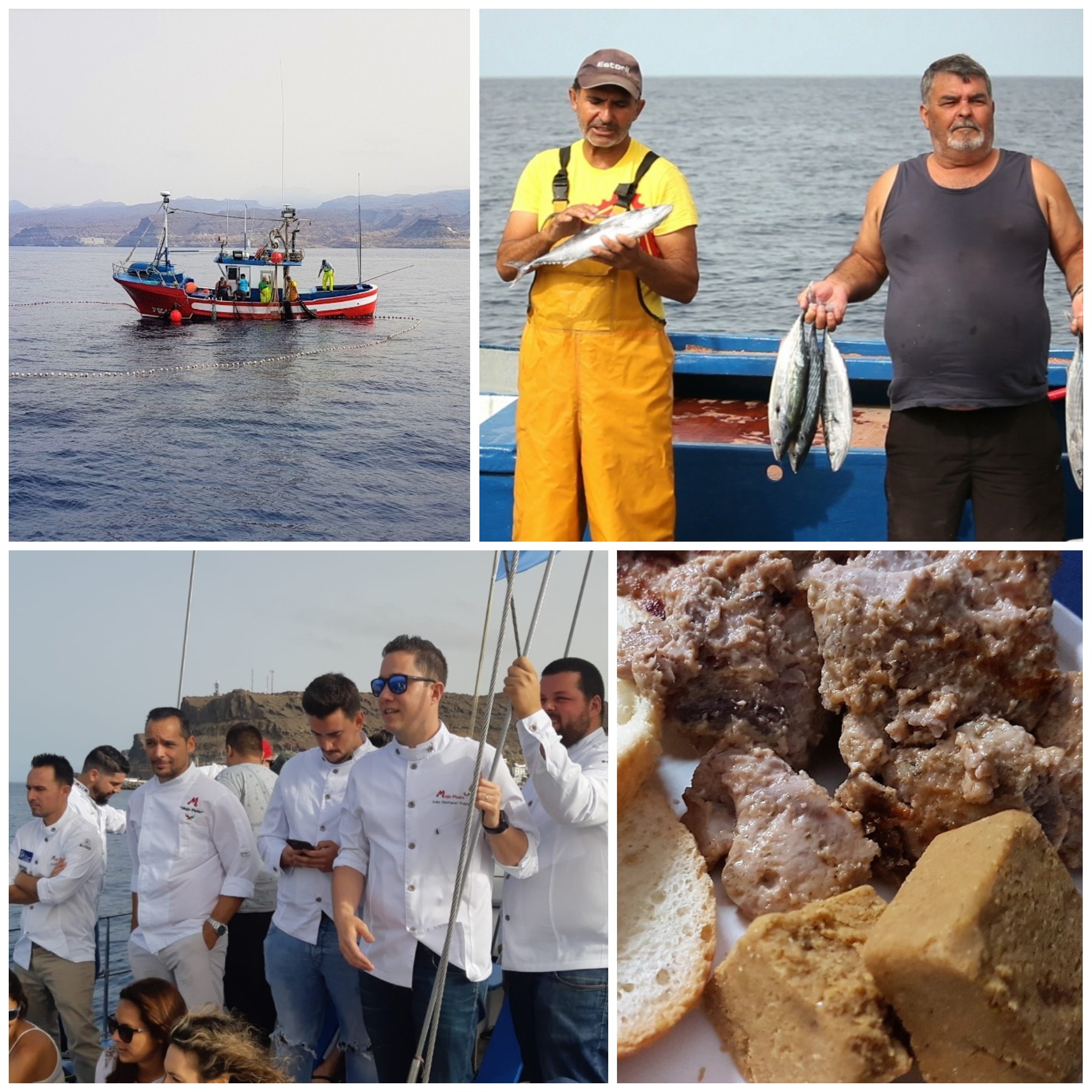 La mañana de pesca. Atún en adobo, ganador del concurso. II Feria del Atún de Mogán. Arguineguín. Gran Canaria. Fotos: Xavier Agulló.