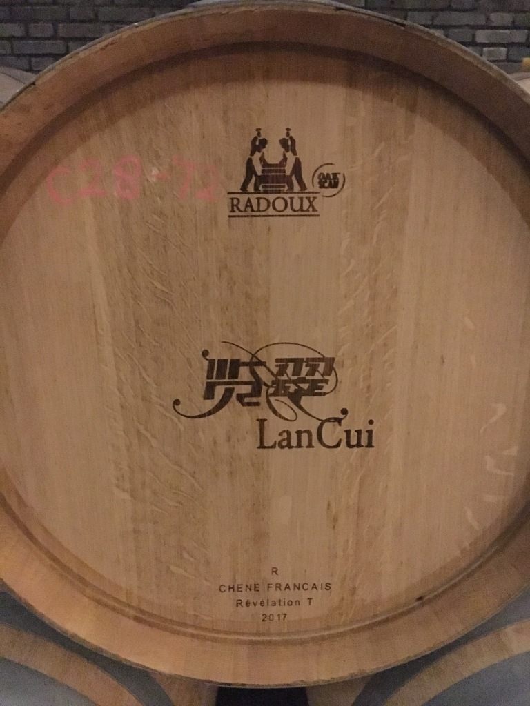 Ningxia, el ojo del dragón 3