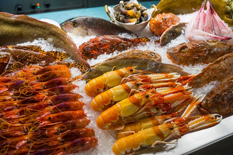 El "festival" de Estimar