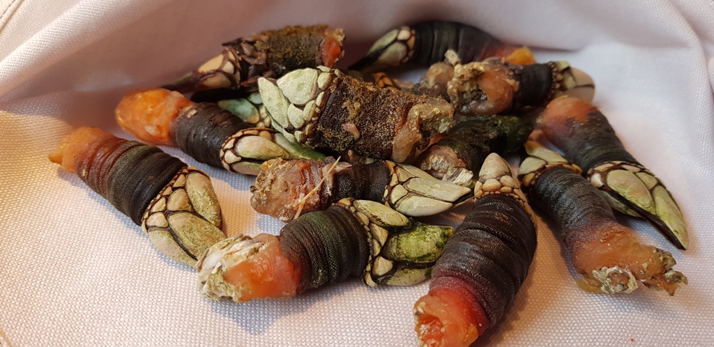 Atrapallada, los genuinos sabores de Galicia en la mesa de Madrid 2