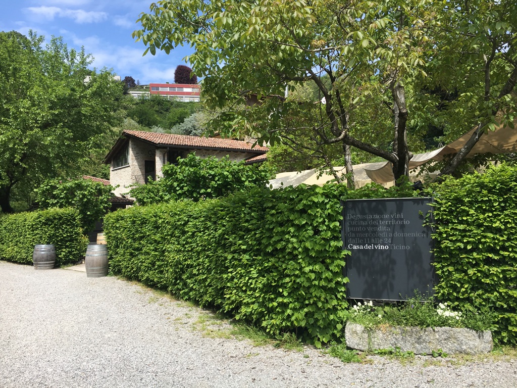 Los vinos de Ticino, la suiza italiana 1