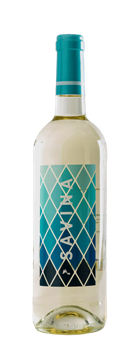 Terramoll, una bodega en Formentera 3