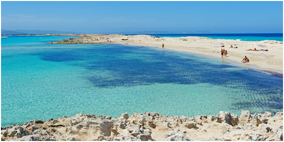 Terramoll, una bodega en Formentera 1