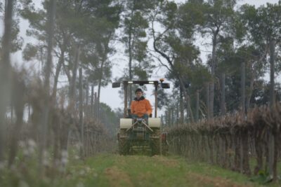 Familia Torres: ensayos con el primer tractor eléctrico para proteger la biodiversidad del viñedo 0