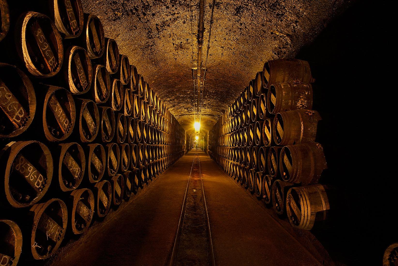 Doce vinos para el confinamiento 7