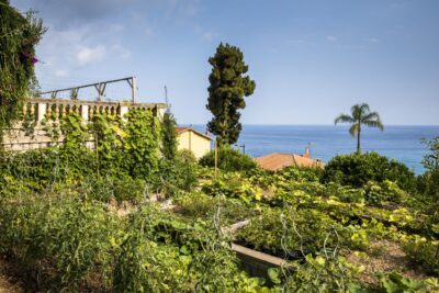 Mirazur 2020. Un restaurante en un jardín 2