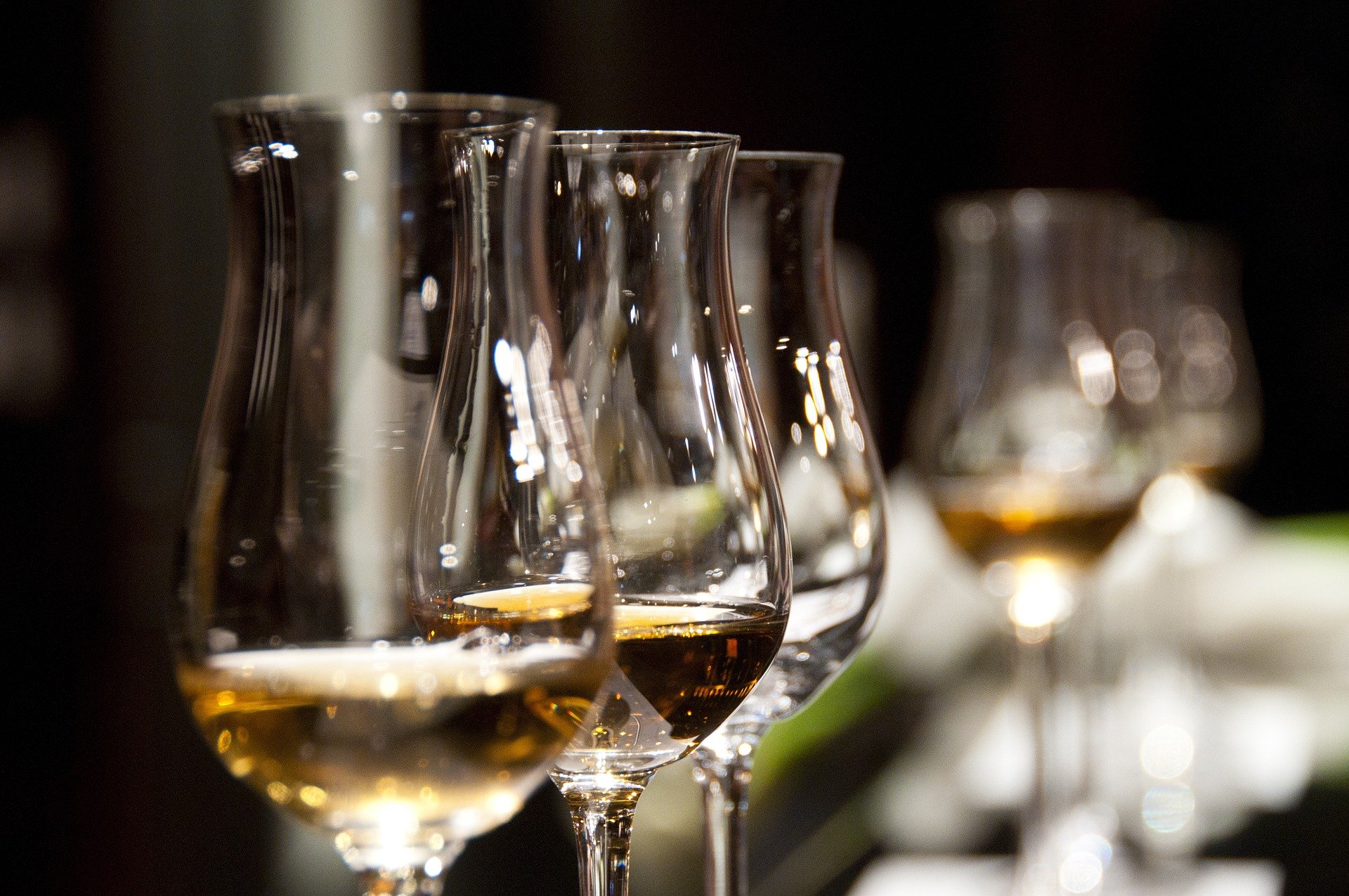 ¿Qué vinos gustan más? Tendencias y maridajes versátiles 2