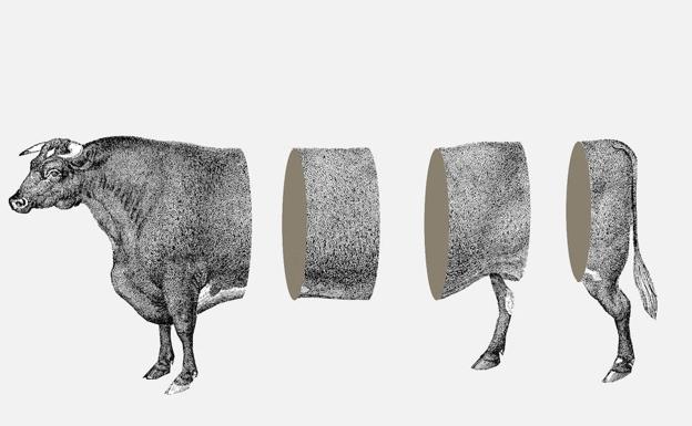 Las vacas y nosotros 0