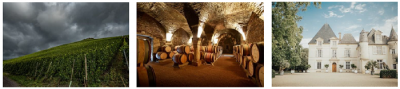Subasta histórica de Primum Familiae Vini 2