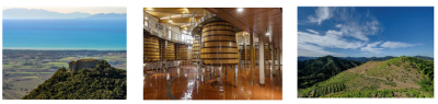 Subasta histórica de Primum Familiae Vini 3