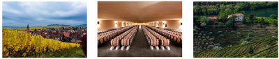 Subasta histórica de Primum Familiae Vini 4