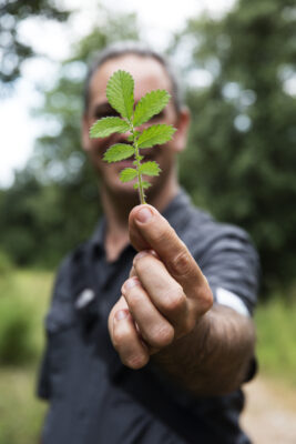 La naturaleza no negocia 2