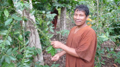 La frontera del cacao 0