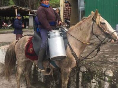 La leche de Tucurucho 0