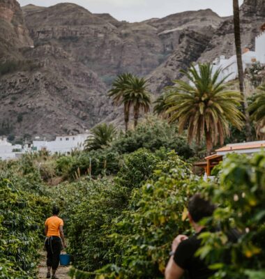 Los cafés  de Gran Canaria hacen la excepción 1