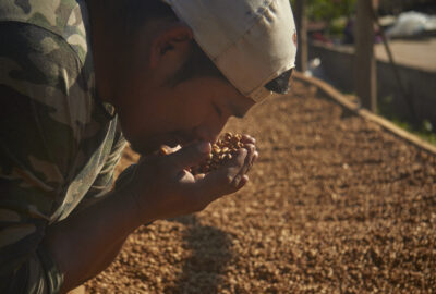 Agricultores de mandil blanco 1