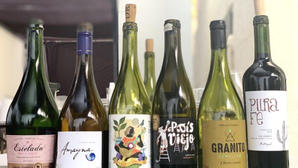 Vinos almuerzo toma de posesión presidente de Chile, Gabriel Boric
