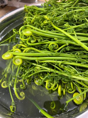 Garabato yuyu.