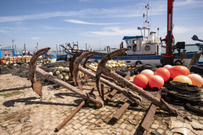 Las cuatro almadrabas de Cádiz levantan los primeros atunes rojos del año 2