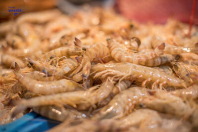 Langostino de Vinaròs. Foto: Turisme de Vinaròs