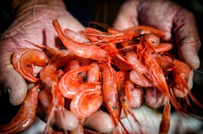 Lanzarote conquista al público de Tast a la Rambla 3