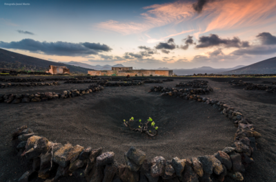 Lanzarote conquista al público de Tast a la Rambla 0