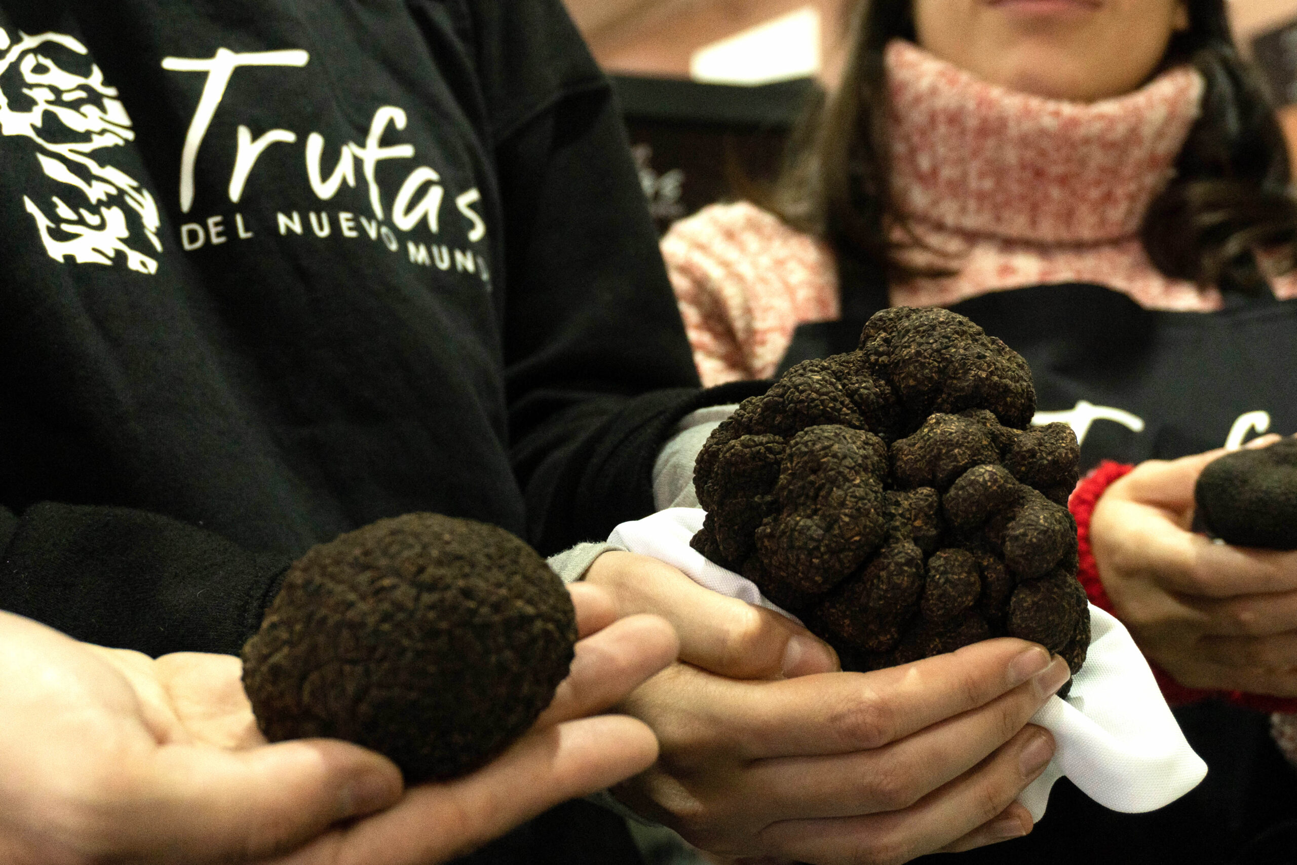 La trufa negra ya es un producto argentino - 7 Caníbales %