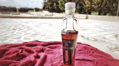 El arqueólogo que trajo al siglo XXI la despensa de la antigua Roma 4
