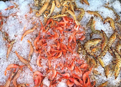Su majestad el langostino y otros tesoros de Cádiz. Andalucía en un plato de gambas (II) 0