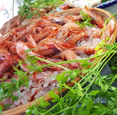 Andalucía en un plato de gambas: Las joyas del Mar de Alborán (I) 8