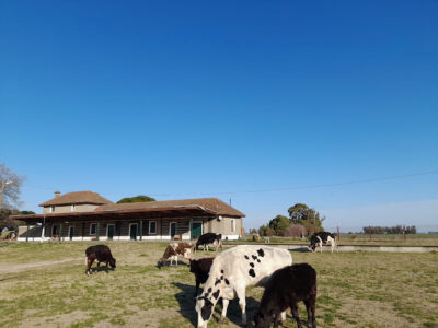 Los habitantes de la estación de Lin Calel 1