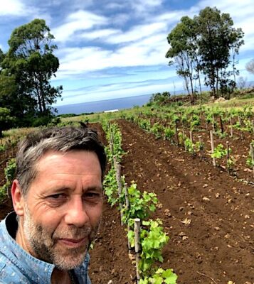 La competencia por el primer vino de Isla de Pascua 1