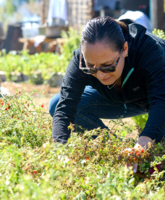 Pilar Rodríguez: “Conociendo el paisaje, solo puedes usar ingredientes chilenos” 1