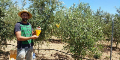 Visita de una de las fincas que participan en Bienvenido a Payés