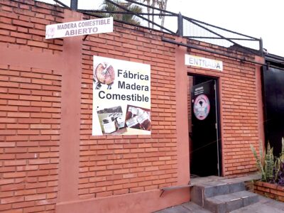 Yacaratiá, la madera comestible que solo crece en Misiones 3