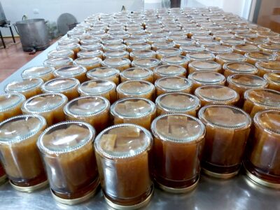 Yacaratiá, la madera comestible que solo crece en Misiones 5
