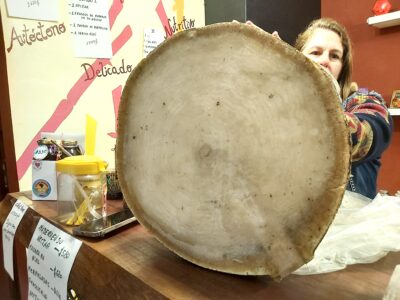 Yacaratiá, la madera comestible que solo crece en Misiones 0