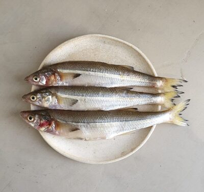Con Agallas, una buena pescadería en Santiago 1