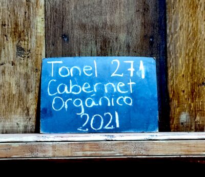 Bodega Weinert: en defensa de los toneles 2