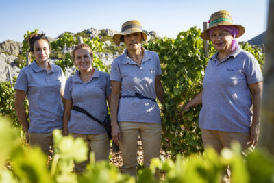 Loli, Josefina, Maria y Lola, equipo de vendimia