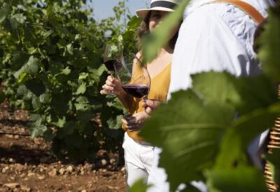 Con los años en Cortijo Los Aguilares apuestan por mantener la esencia de sus vinos. - GURMÉ
