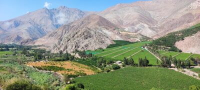 Pisco Chile se postula como Paisaje Cultural Vitivinícola por la Unesco 0