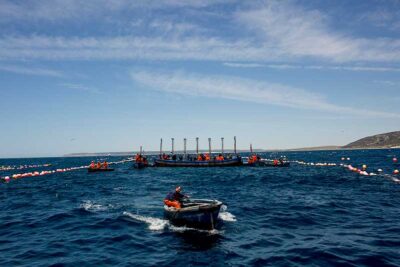 Pesca del atún. Foto: El Campero, especialistas en atún.