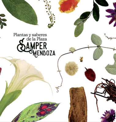 Portada de Plantas y Saberes de la Plaza Samper Mendoza.