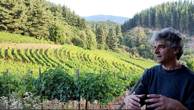 Rafael Tirado en el viñedo de Trumao