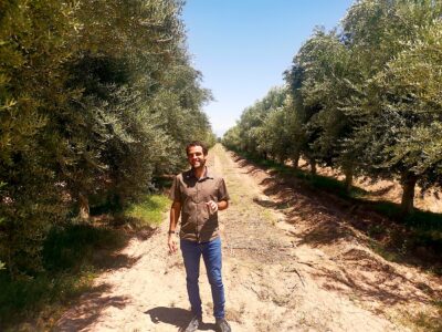 Miguel Zuccardi en sus olivares en Maipù, Mendoza. 