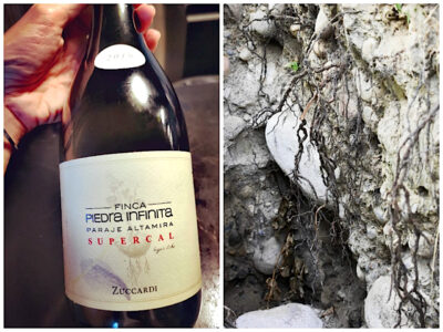 FincaPiedra Infinita Supercal 2019 viene de una parcela de 0,78 Has. Un suelo de piedras con un corazón de granito, cubiertas por carbonato de calcio.