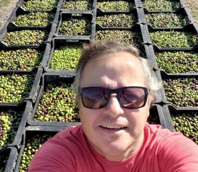 Guillermo Rosotti durante la cosecha de aceitunas en Finca RumarOli.