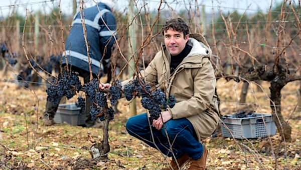 Aritz Espinosa en la viña de Briones donde crece la uva de Dulce Invierno. Foto: Sonia Tercero.