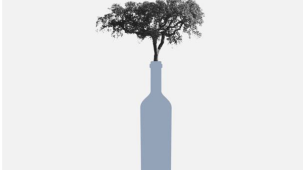 Ilustración Sr García. Árbol en una botella.